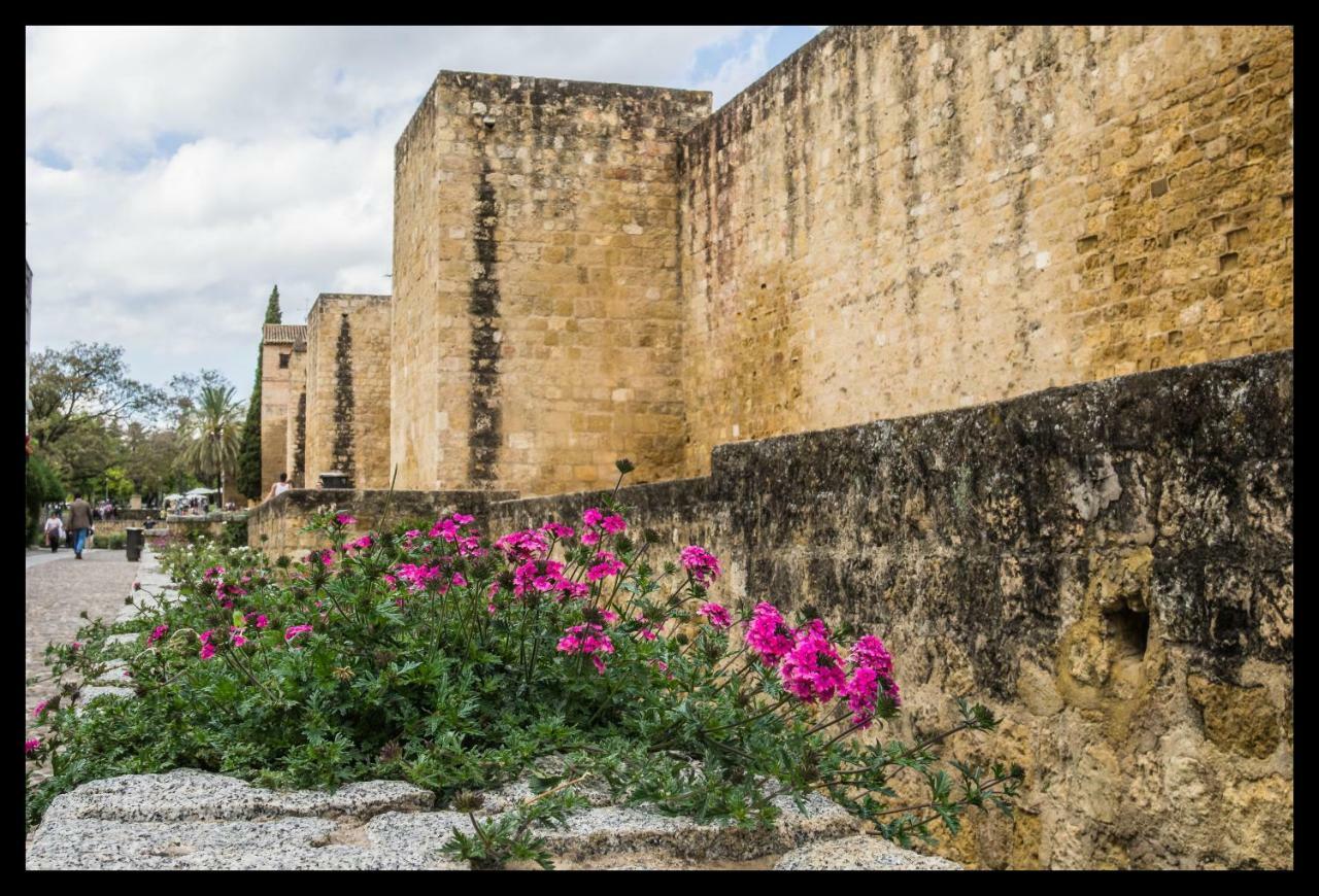 Apartamento La Peluquería Córdoba Exterior foto